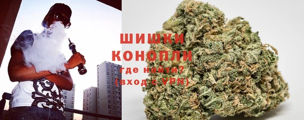 дмт Каменногорск