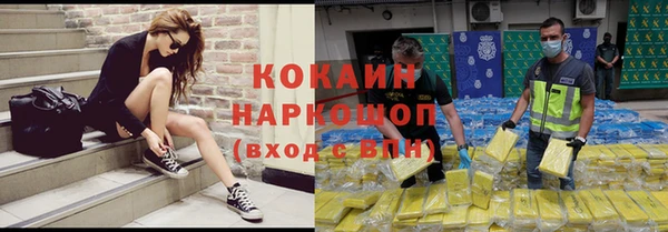 кокс Алексин