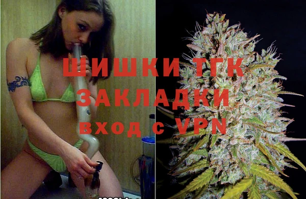 соль ск Алзамай