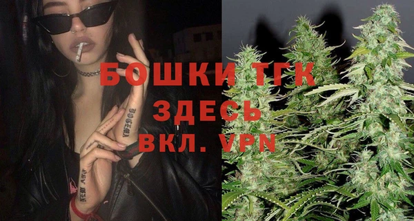 соль ск Алзамай