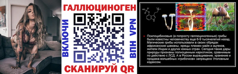 Галлюциногенные грибы Psilocybe  Татарск 